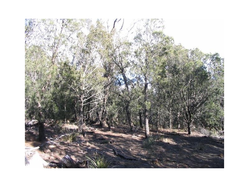 Lot 1 Flinders Bay Road, Murdunna TAS 7178