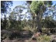 Lot 1 Flinders Bay Road, Murdunna TAS 7178