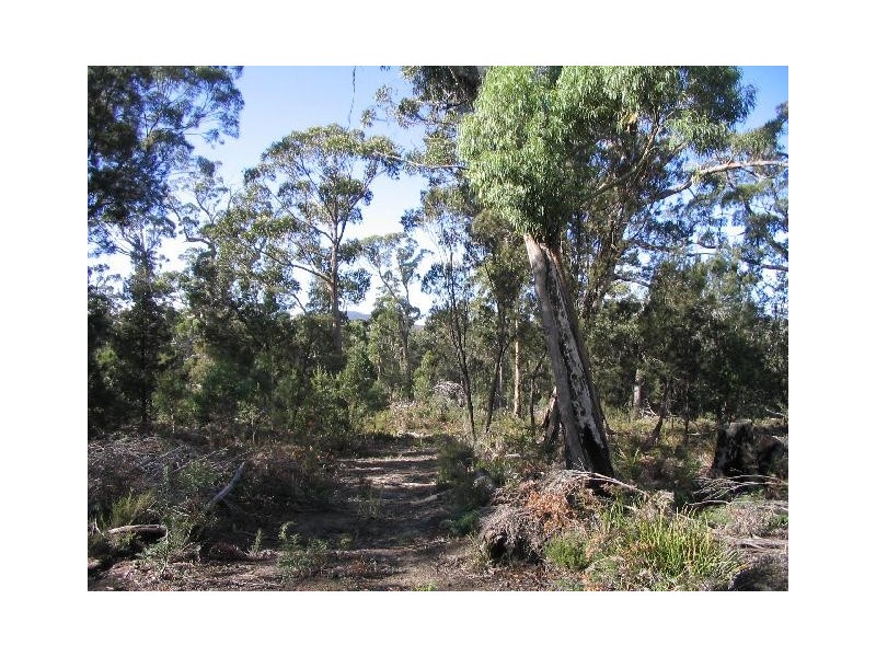 Lot 1 Flinders Bay Road, Murdunna TAS 7178