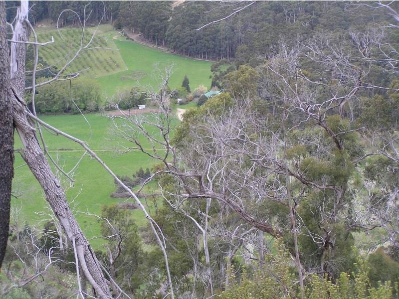 Lot 2 White Beach Road, White Beach TAS 7184