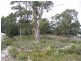 10 Olive Place, White Beach TAS 7184