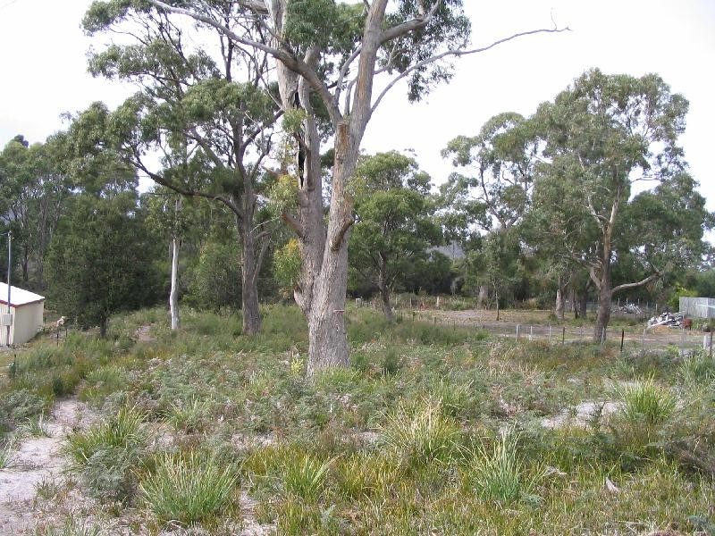 10 Olive Place, White Beach TAS 7184