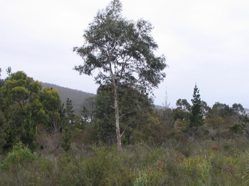 27 George Street, Taranna TAS 7180