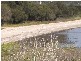 12 Spotswood Road, Dunalley TAS 7177
