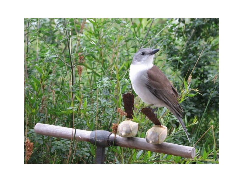 Lot 1, 413 Pirates Bay Drive, Eaglehawk Neck TAS 7179