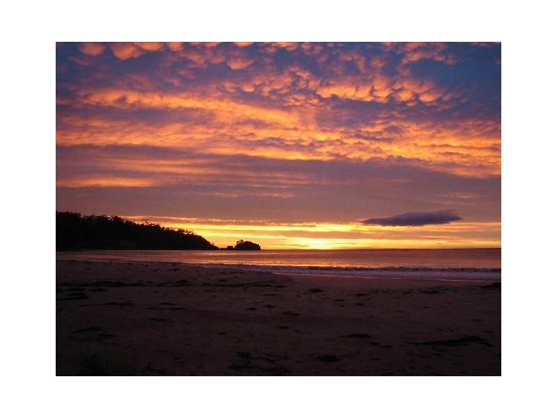 Lot 1, 413 Pirates Bay Drive, Eaglehawk Neck TAS 7179