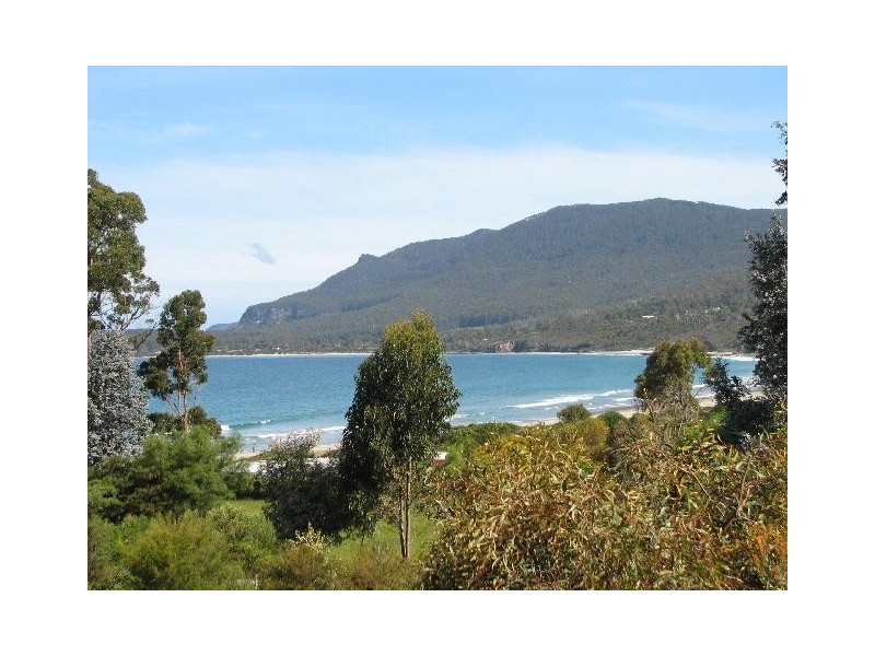 Lot 1, 413 Pirates Bay Drive, Eaglehawk Neck TAS 7179