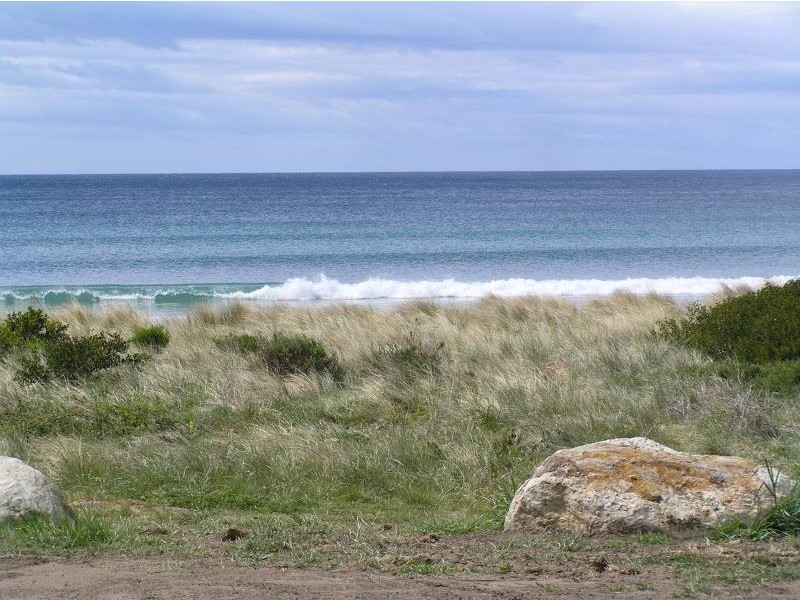 443 Pirates Bay Drive, Eaglehawk Neck TAS 7179