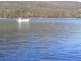 186 Old Jetty Road, Eaglehawk Neck TAS 7179