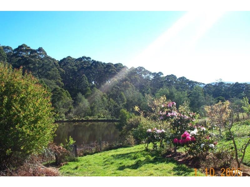 444 Safety Cove Road, Port Arthur TAS 7182