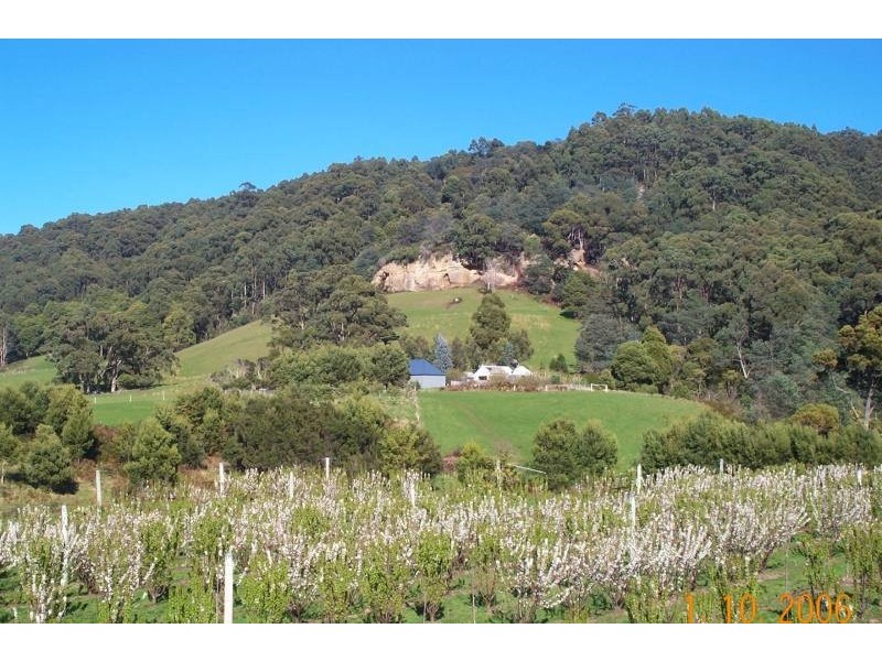 444 Safety Cove Road, Port Arthur TAS 7182