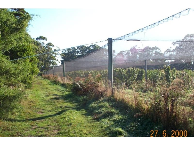 444 Safety Cove Road, Port Arthur TAS 7182