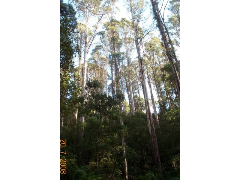 444 Safety Cove Road, Port Arthur TAS 7182