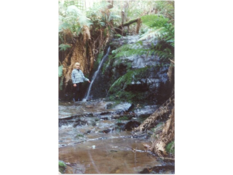 444 Safety Cove Road, Port Arthur TAS 7182