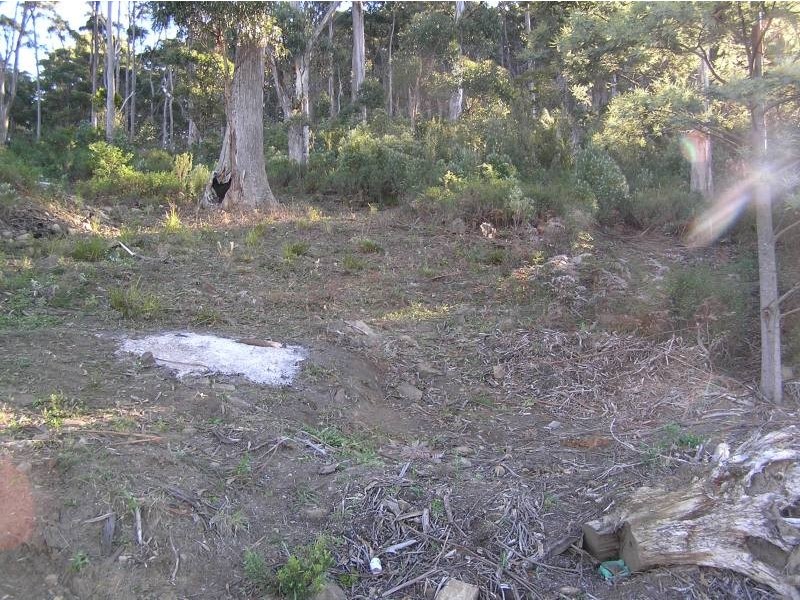 8 Hawks Lane, Eaglehawk Neck TAS 7179