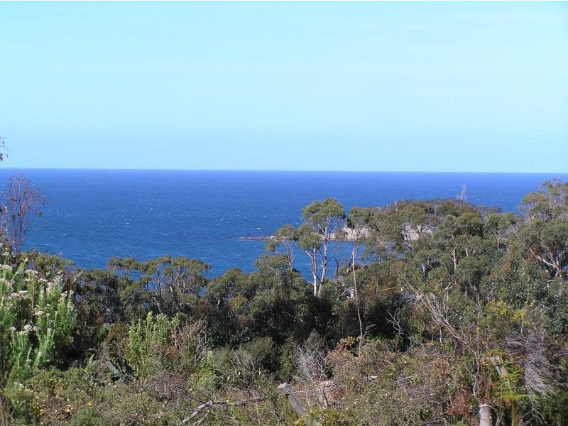 178 Blowhole Road, Eaglehawk Neck TAS 7179