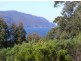 178 Blowhole Road, Eaglehawk Neck TAS 7179