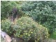 5709 Arthur Highway, Taranna TAS 7180