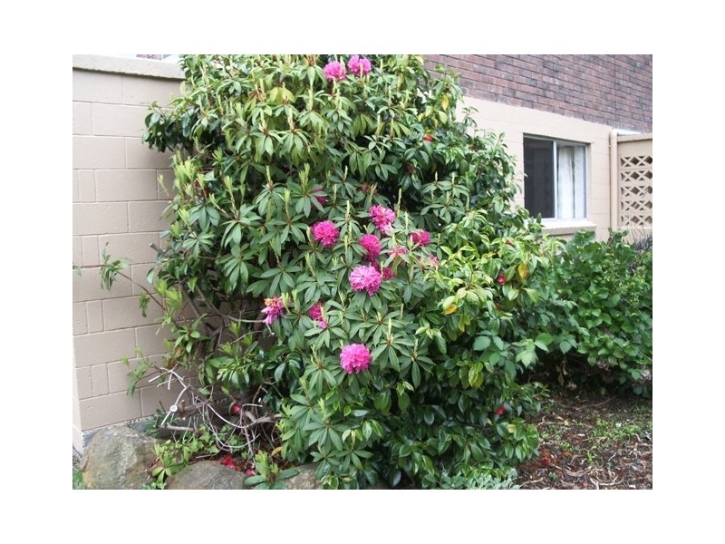 5709 Arthur Highway, Taranna TAS 7180
