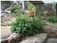 5709 Arthur Highway, Taranna TAS 7180