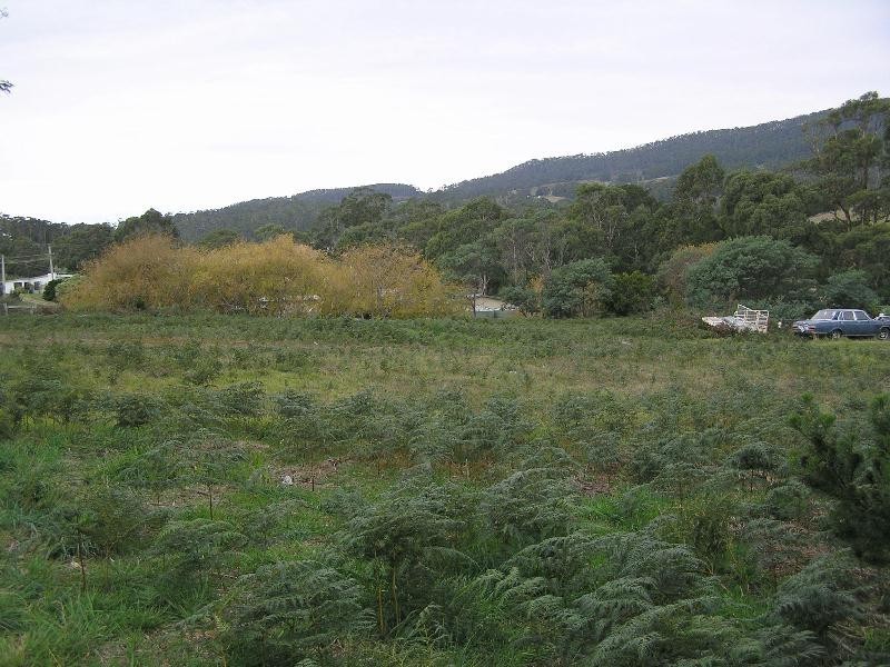 Lot 4 Peace Street, Nubeena TAS 7184