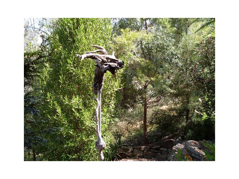 6 Hawks Lane, Eaglehawk Neck TAS 7179