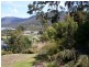 6 Hawks Lane, Eaglehawk Neck TAS 7179