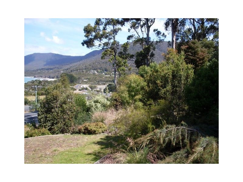 6 Hawks Lane, Eaglehawk Neck TAS 7179