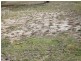 Lot 3 168 Sommers Bay Road, Murdunna TAS 7178