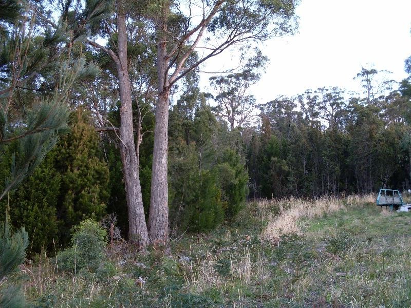 Lot 2 Masons Point Road, Eaglehawk Neck TAS 7179