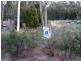 Lot 2 Masons Point Road, Eaglehawk Neck TAS 7179