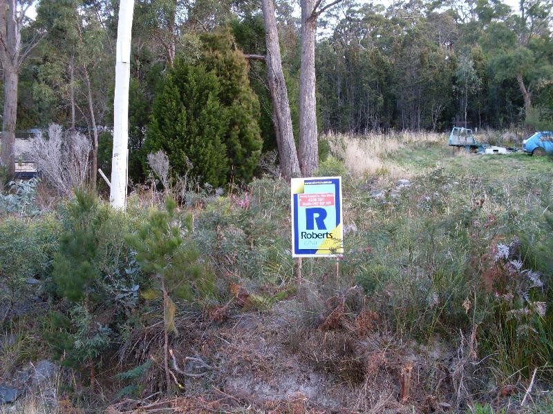 Lot 2 Masons Point Road, Eaglehawk Neck TAS 7179