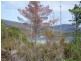 Lot 21 Peace Street, Nubeena TAS 7184