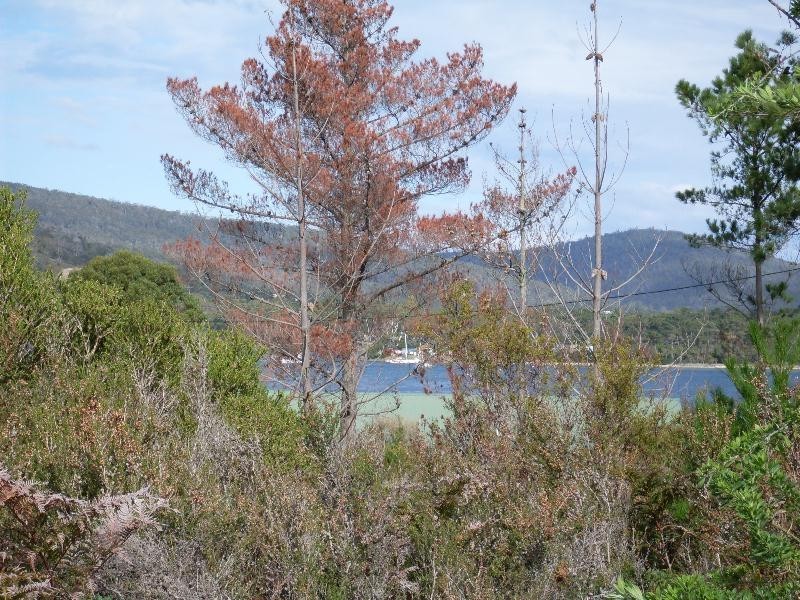 Lot 21 Peace Street, Nubeena TAS 7184