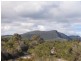 Lot 1 Dog Bark Road, Port Arthur TAS 7182