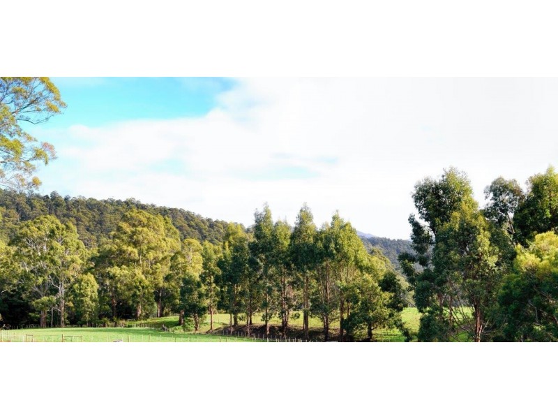 Gawler TAS 7315