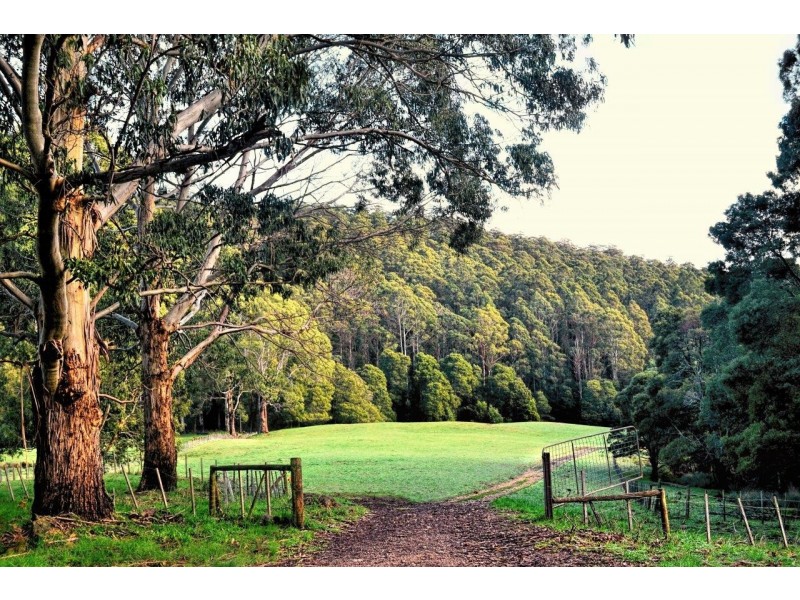 Gawler TAS 7315