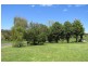160 Cradle Mountain Road, Wilmot TAS 7310