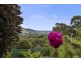 2 Dalrymple Street, Forth TAS 7310