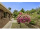 2 Dalrymple Street, Forth TAS 7310