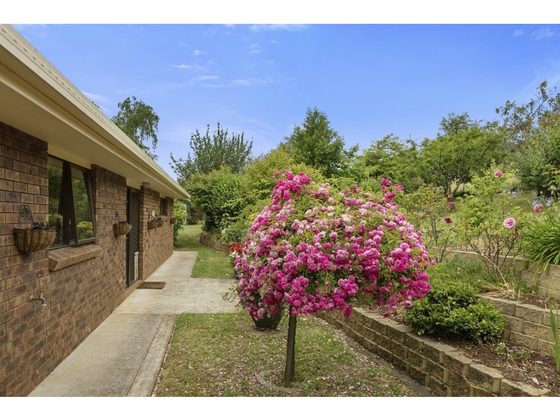 2 Dalrymple Street, Forth TAS 7310