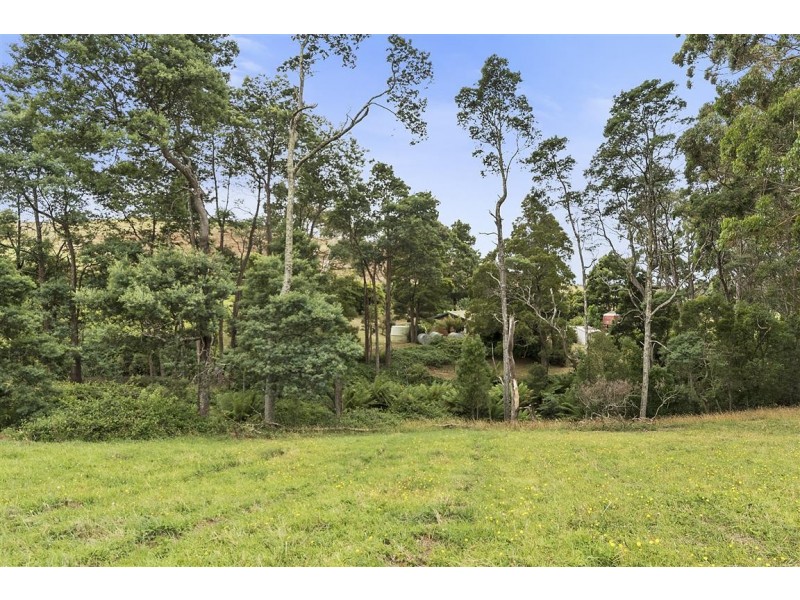 119 Swamp Road, Kindred TAS 7310