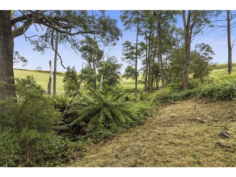 119 Swamp Road, Kindred TAS 7310