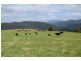 539 Warringa Road, Preston TAS 7315