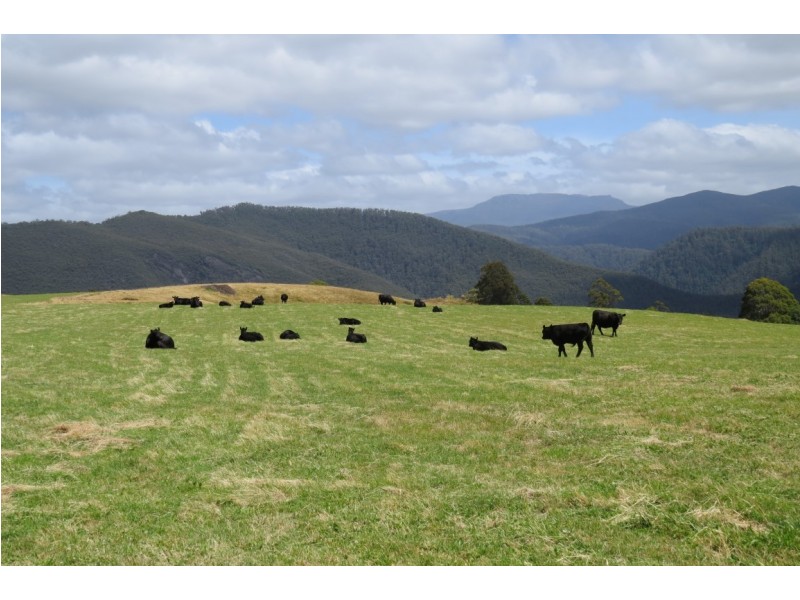 539 Warringa Road, Preston TAS 7315