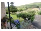 539 Warringa Road, Preston TAS 7315