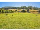1772 South Riana Road, Gunns Plains TAS 7315