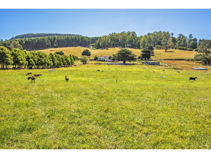 1772 South Riana Road, Gunns Plains TAS 7315