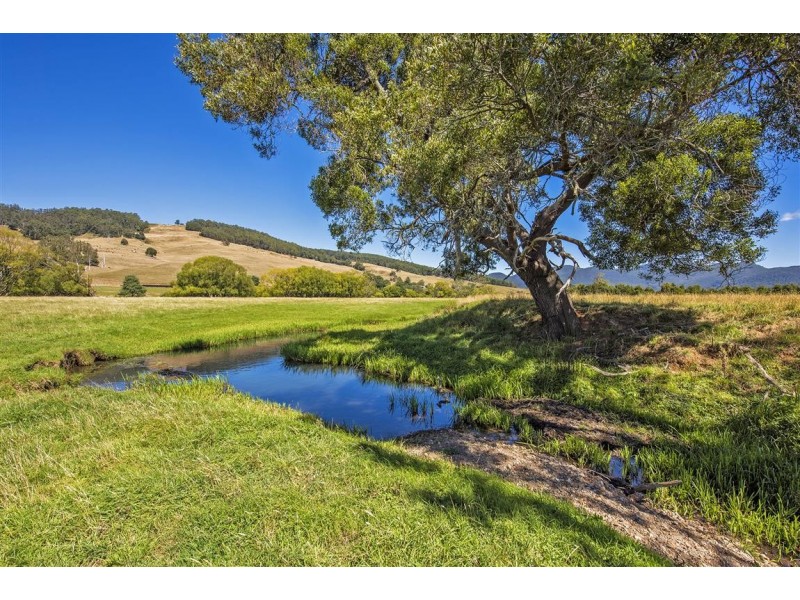 1772 South Riana Road, Gunns Plains TAS 7315