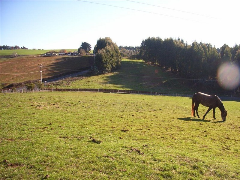 699 Isandula Road, Gawler, Ulverstone TAS 7315